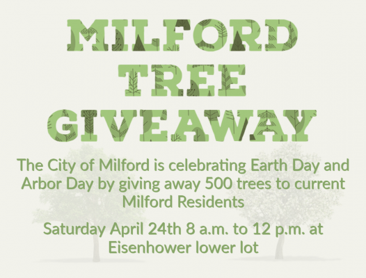 Milford Tree Giveaway